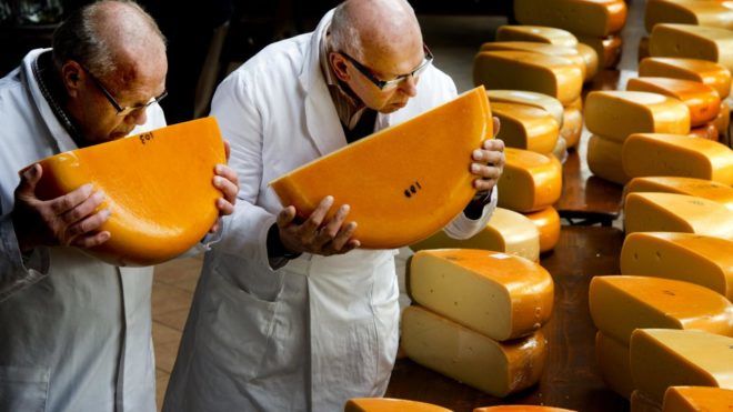 Технология производства сыра