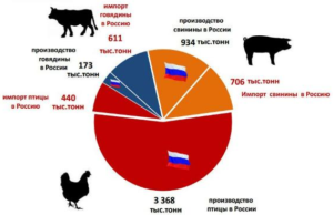 График мясной промышленности России