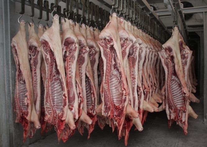 Производство свинины